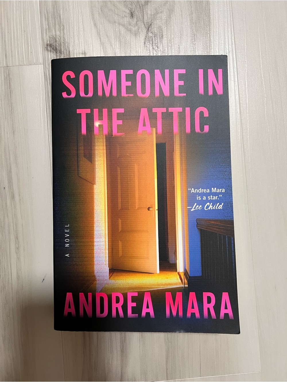 2/$16 Book: Someone in the Attic by Andrea Mara